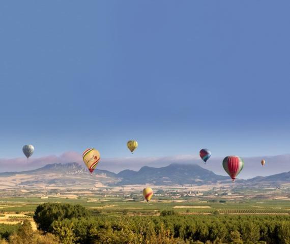 Marques De La Rioja Daire Logroño Dış mekan fotoğraf